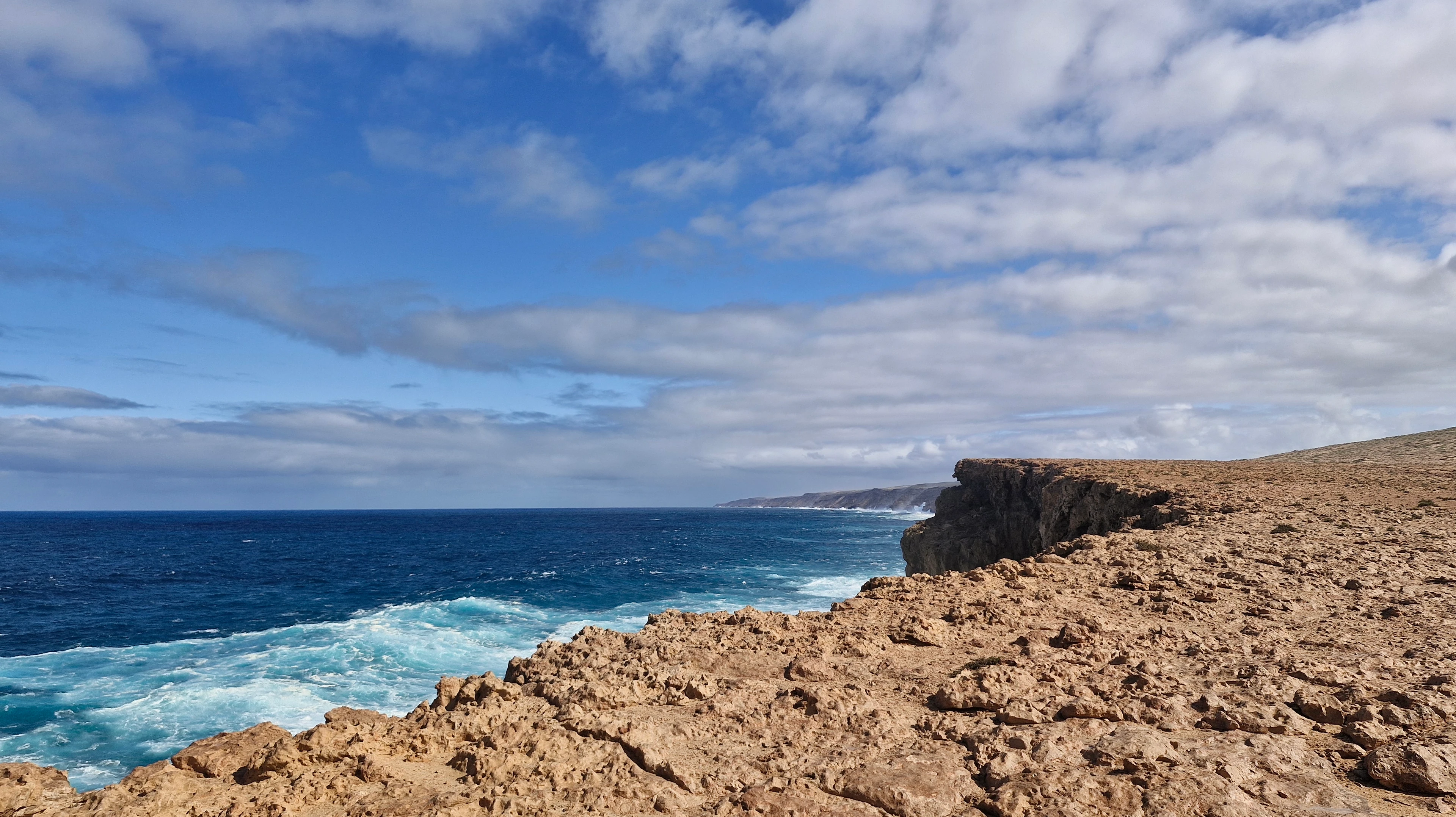 Marine Safari, Sharks and Blowholes